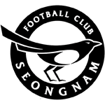 城南足球俱乐部