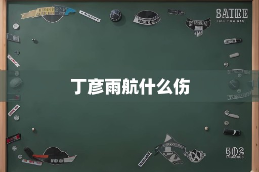 丁彦雨航什么伤