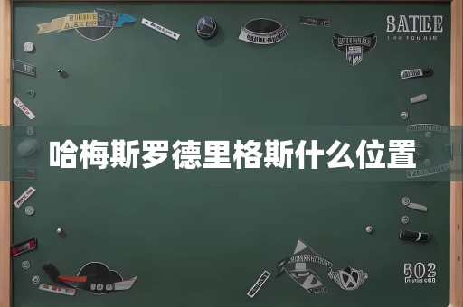 哈梅斯罗德里格斯什么位置