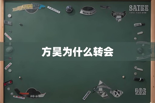 方昊为什么转会