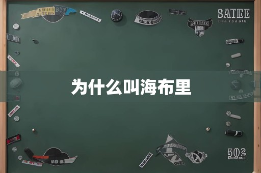 为什么叫海布里