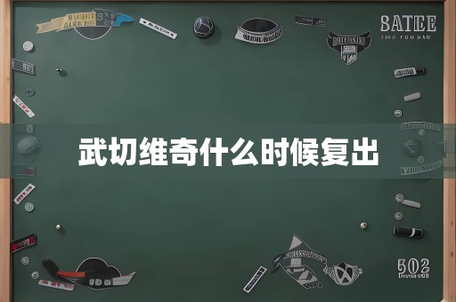 武切维奇什么时候复出