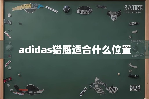 adidas猎鹰适合什么位置