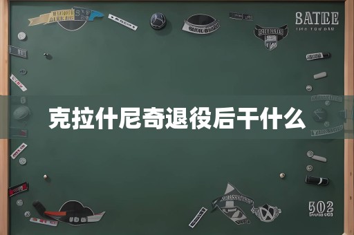 克拉什尼奇退役后干什么