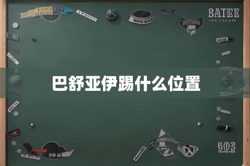 巴舒亚伊踢什么位置