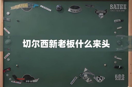 切尔西新老板什么来头