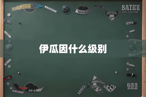 伊瓜因什么级别