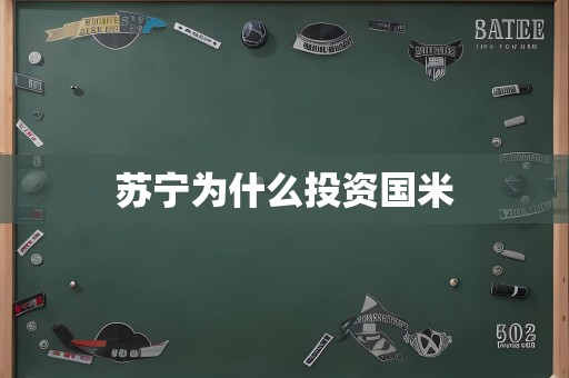 苏宁为什么投资国米