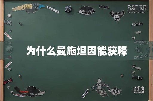 为什么曼施坦因能获释