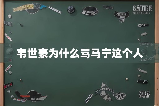 韦世豪为什么骂马宁这个人