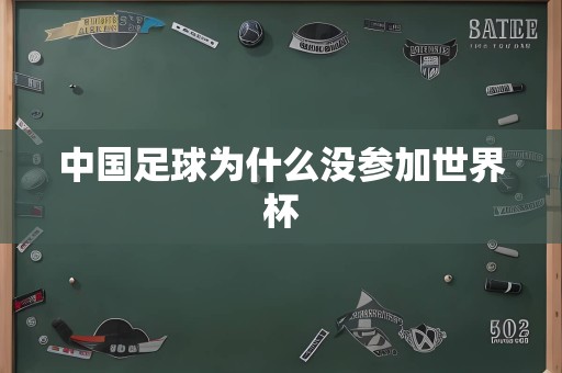 中国足球为什么没参加世界杯