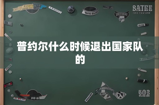 普约尔什么时候退出国家队的