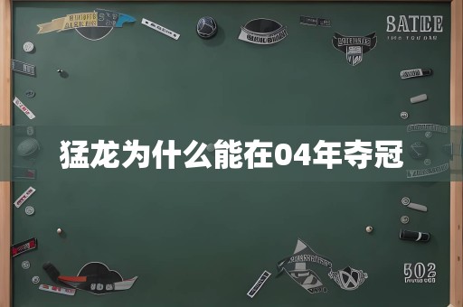 猛龙为什么能在04年夺冠