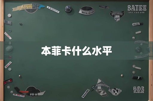 本菲卡什么水平