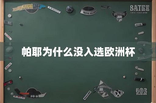 帕耶为什么没入选欧洲杯