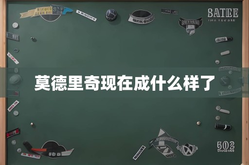 莫德里奇现在成什么样了