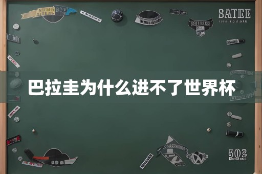 巴拉圭为什么进不了世界杯