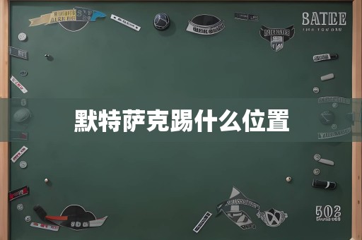 默特萨克踢什么位置