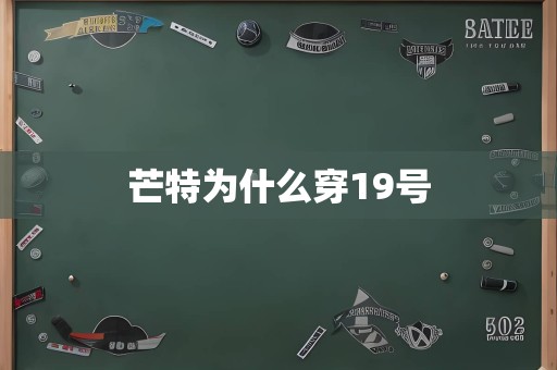 芒特为什么穿19号