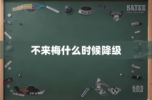 不来梅什么时候降级