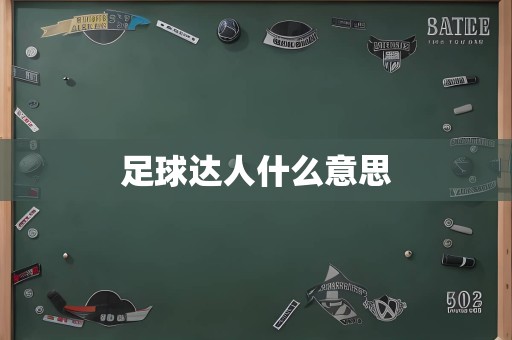 足球达人什么意思