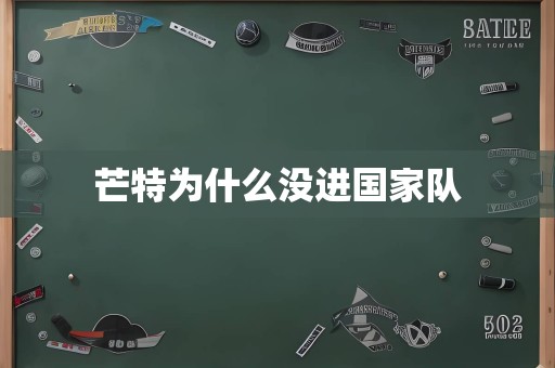 芒特为什么没进国家队