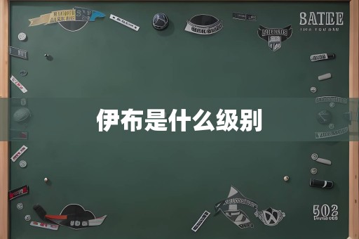 伊布是什么级别