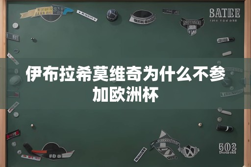 伊布拉希莫维奇为什么不参加欧洲杯