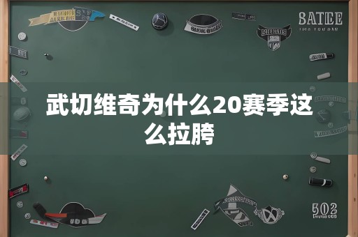武切维奇为什么20赛季这么拉胯