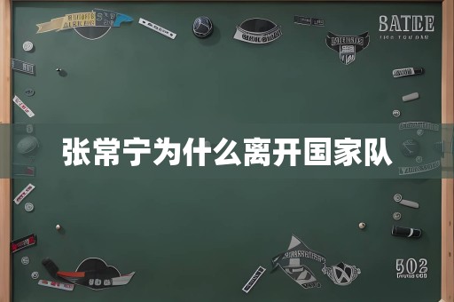 张常宁为什么离开国家队