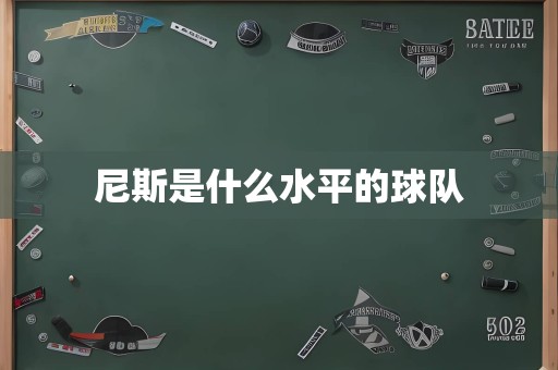 尼斯是什么水平的球队