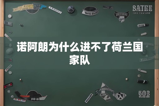 诺阿朗为什么进不了荷兰国家队