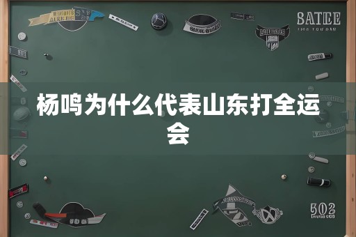 杨鸣为什么代表山东打全运会