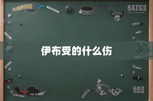 伊布受的什么伤