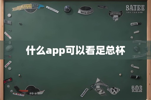 什么app可以看足总杯