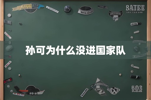 孙可为什么没进国家队