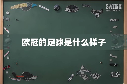 欧冠的足球是什么样子