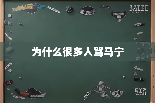 为什么很多人骂马宁