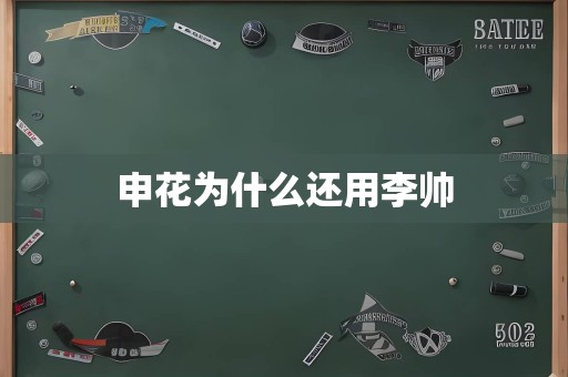 申花为什么还用李帅