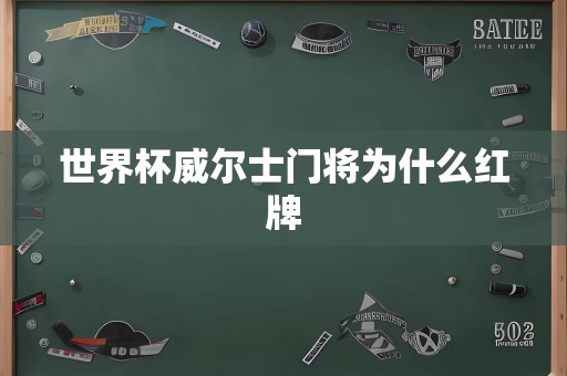 世界杯威尔士门将为什么红牌