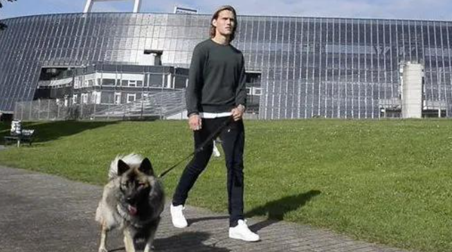 《电讯报》：莱斯特城球员维斯特高获准带狗训练引热议