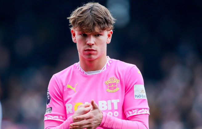 多家俱乐部争夺南安普顿前锋迪布林