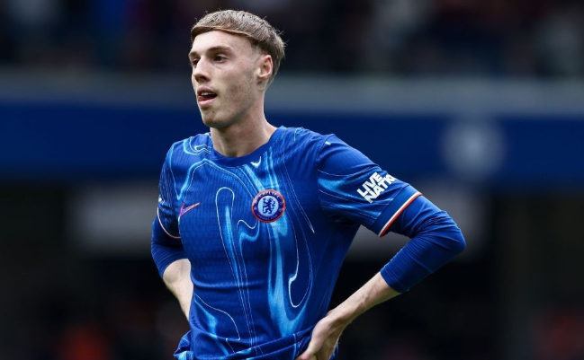 登巴-巴谈帕尔默：竞争有益，需经验之人指引