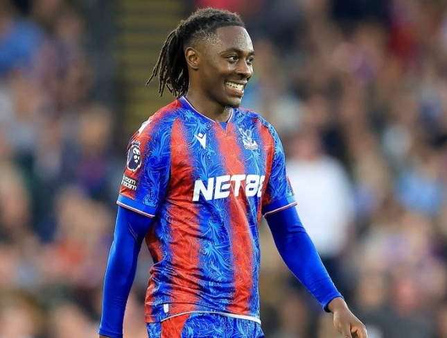 纽卡斯尔联7000万欧求购水晶宫核心埃泽，欧冠资格成转会关键