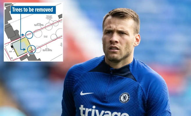 切尔西门将陷生态风波：贝蒂内利违规砍树遭邻居联名控诉