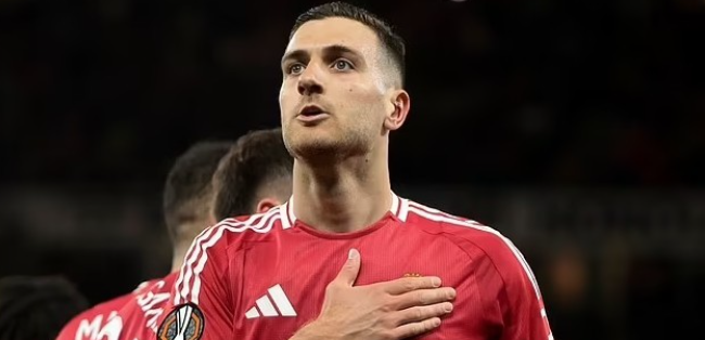 达洛特力挺阿莫林：严格是复兴基石，主帅自费凝聚团队彰显红魔精神