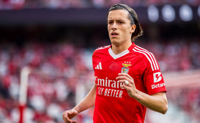 皇马为签本菲卡左闸费尔南德斯积极谈判