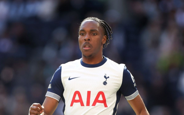 热刺面临特尔买断抉择，阵容调整动态引关注