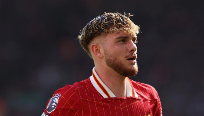 勒沃库森引援动态：埃利奥特出局，夸安萨仍存机会