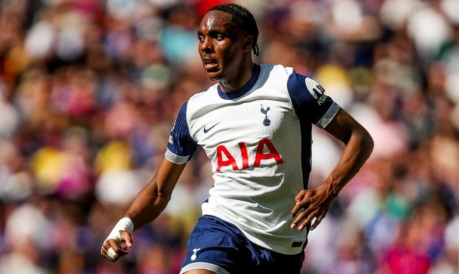 热刺拜仁就特尔转会模式存分歧，谈判仍在进行